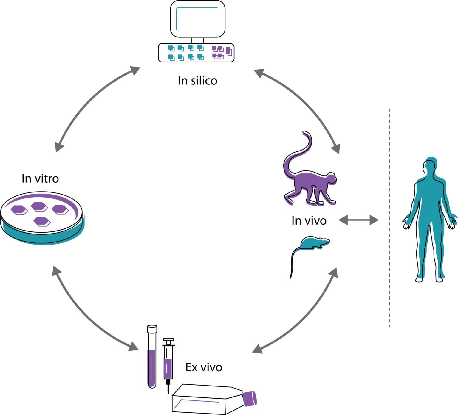 our-approach-crispr-for-cure